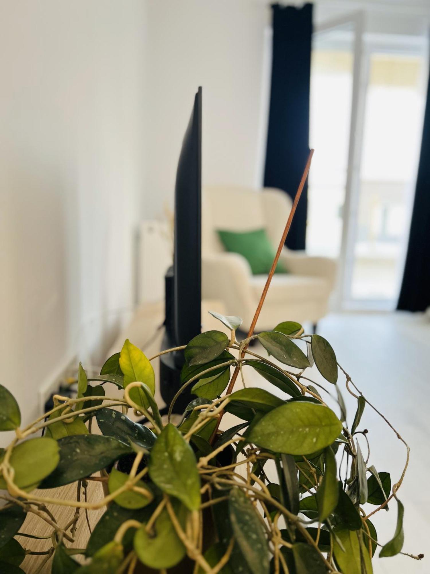Airport Gardens Loft Apartment โอโตเปนี ภายนอก รูปภาพ