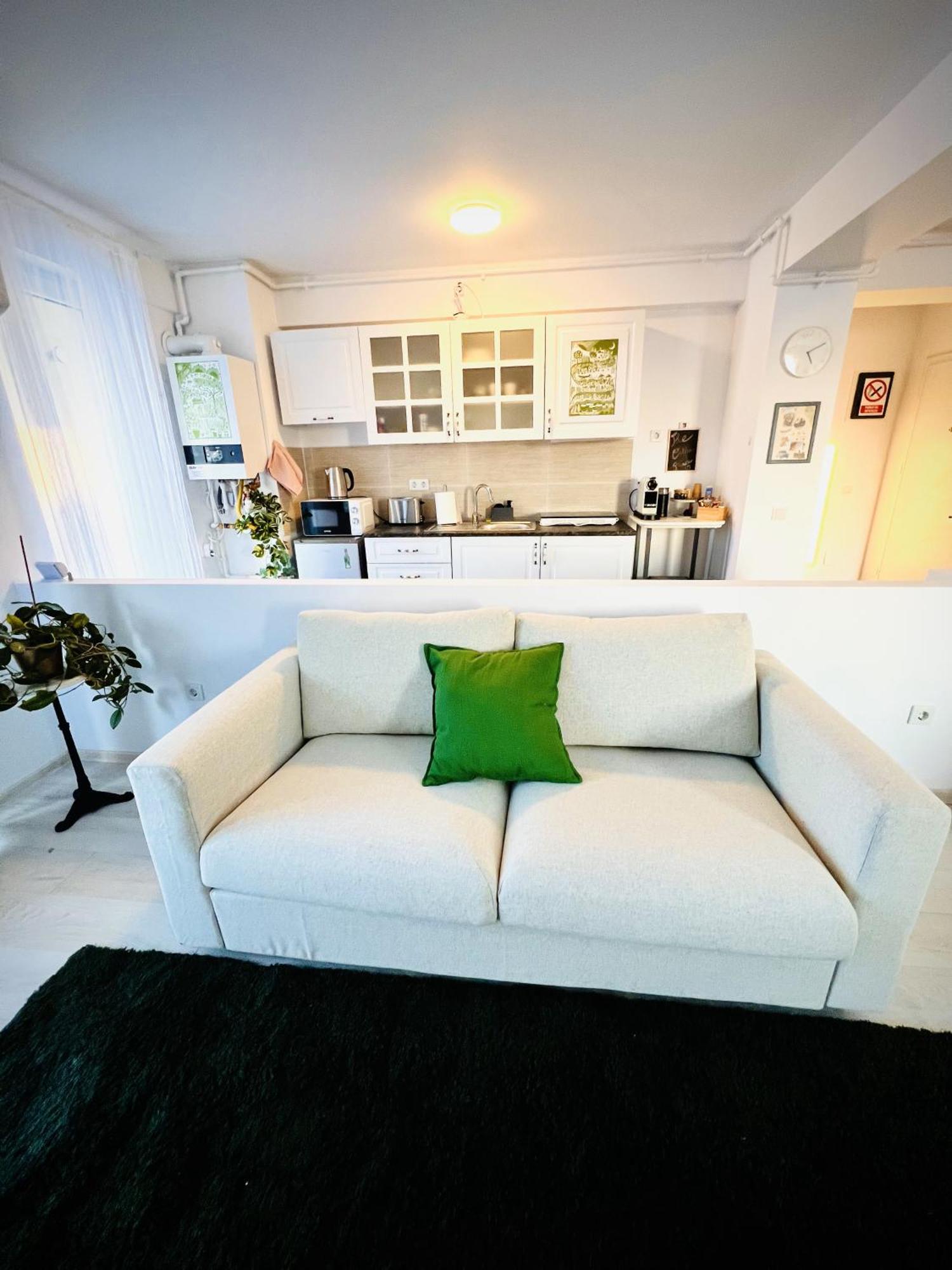 Airport Gardens Loft Apartment โอโตเปนี ภายนอก รูปภาพ