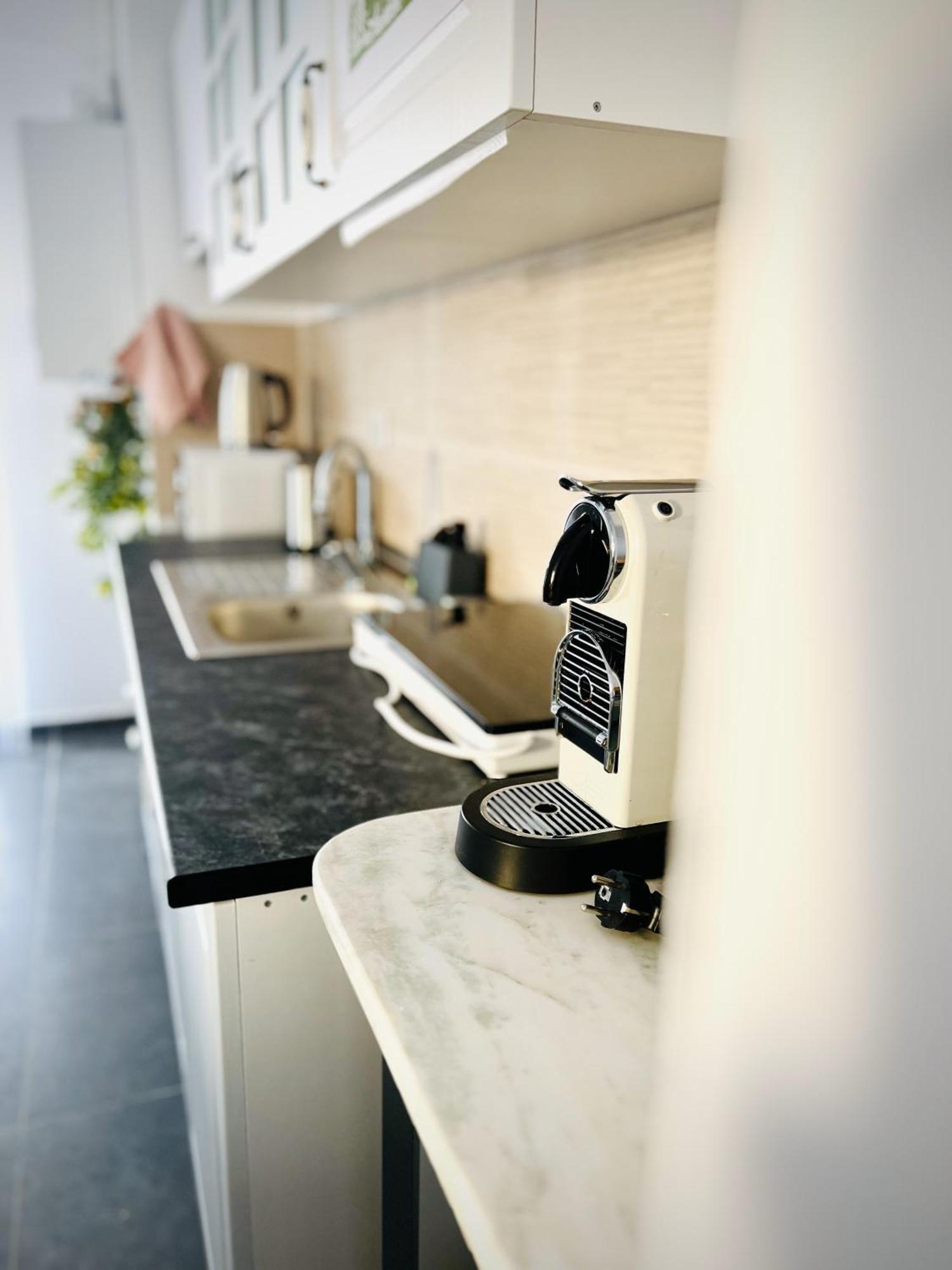 Airport Gardens Loft Apartment โอโตเปนี ภายนอก รูปภาพ