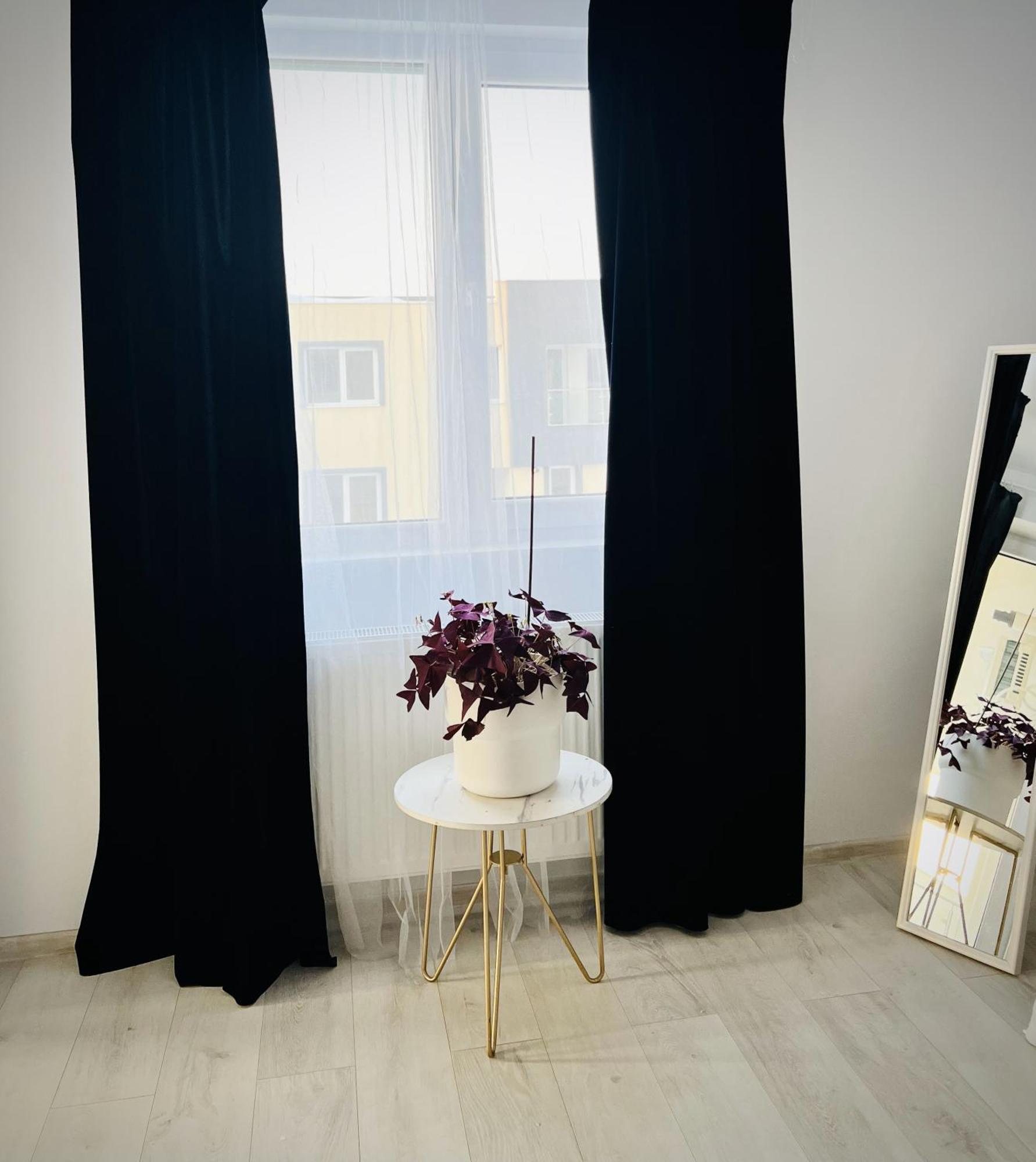 Airport Gardens Loft Apartment โอโตเปนี ภายนอก รูปภาพ